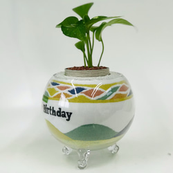 お誕生日プレゼント♡新築祝い♡開店祝い♡カラーサンドアート♡観葉植物セット♡玄関インテリア♡消臭効果のある植物 3枚目の画像