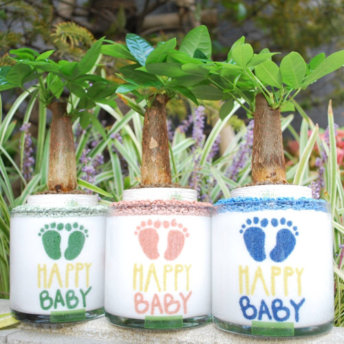出産祝い 名入れ カラーサンド カラーサンドアート 西海岸 BABY 