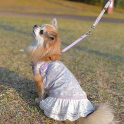 犬服　花とイチゴ　スカート付きタンクトップ 4枚目の画像