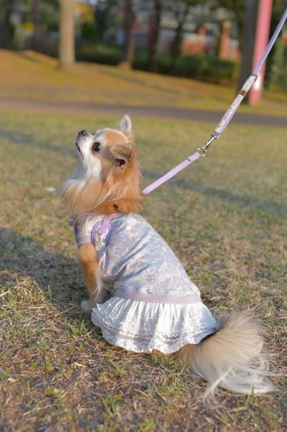 犬服　花とイチゴ　スカート付きタンクトップ 4枚目の画像