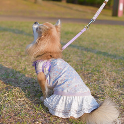 サイズ選びのヒント　スカート付き 2枚目の画像