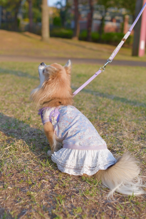 サイズ選びのヒント　スカート付き 2枚目の画像