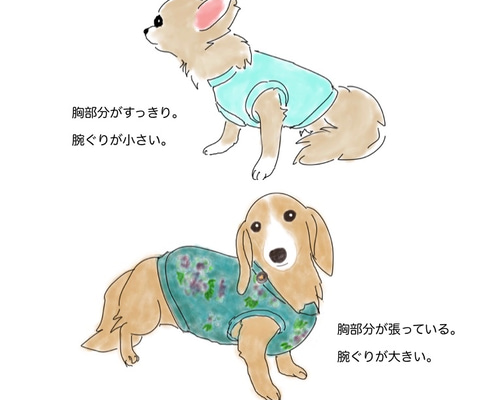 ペット服　Mサイズ　まとめ Disney チップ＆デールレイヤードトレーナー ペット用品 ペットウェア