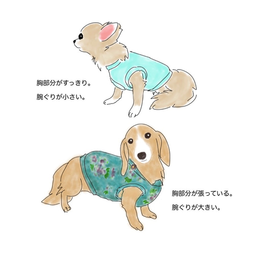犬用服まとめ売りMDサイズ