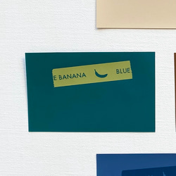 ブルーバナナIDカードケース/クリア×ピスタチオボタン 7枚目の画像