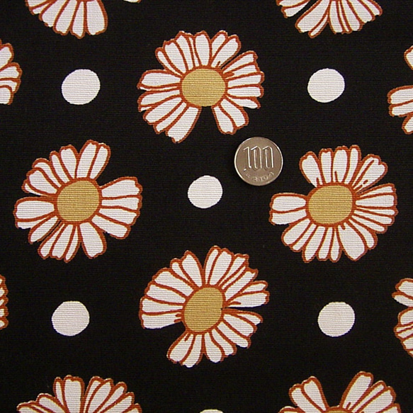 コットン・マーガレット・ブラック 2枚目の画像