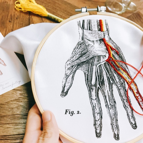 サイ先生サイエンスファクトリー│アフタースクール - 人間の血管分布