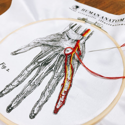 サイサイエンスファクトリー氏│放課後-人間の血管分布刺繡セット 5枚目の画像