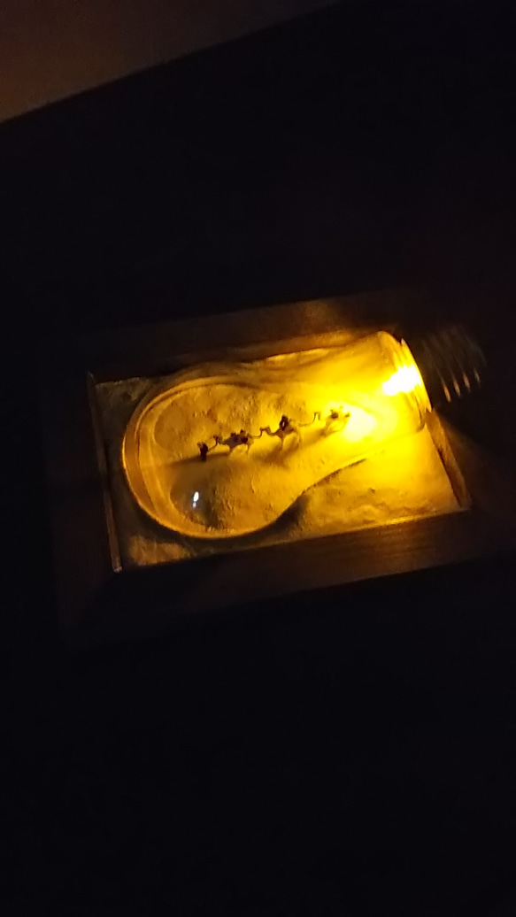 ラクダさんの電球テラリウム(偶蹄目と霊長目の共同主観的存在構造) 5枚目の画像