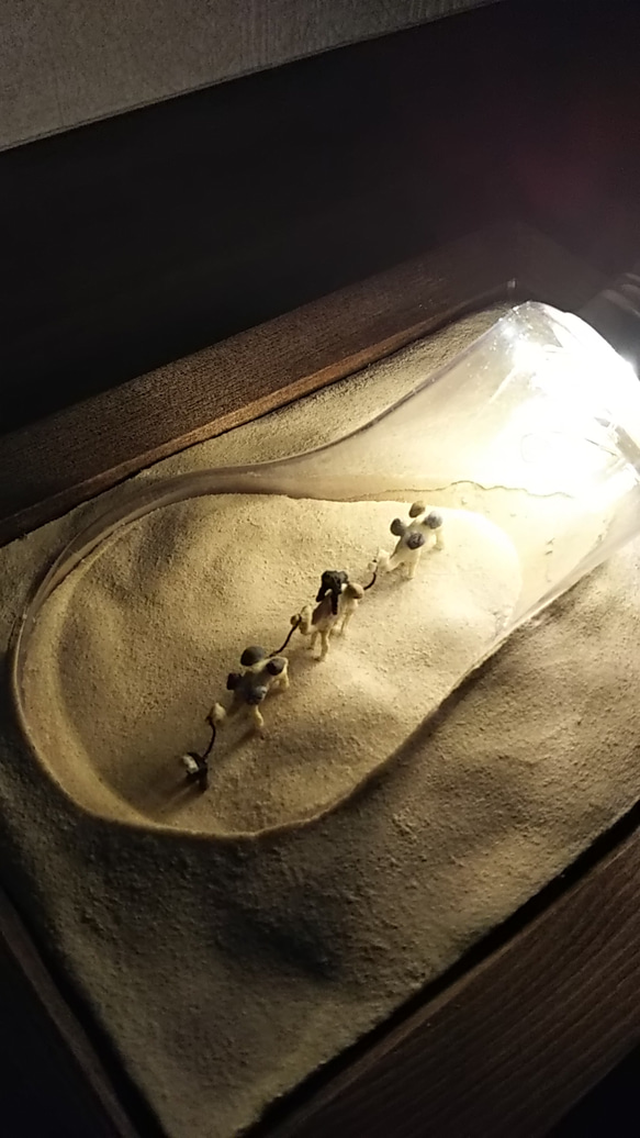 USB電源タイプ　ラクダさんの電球テラリウム(偶蹄目と霊長目の共同主観的存在構造)  口金:シルバー 5枚目の画像