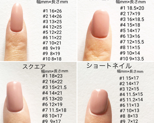 ネイルチップデザイン確認用 サイズ確認用ネイルチップ | primira