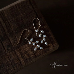 琵琶湖パールピアス【希少】 琵琶湖パール＊湖の実 ピアス｛再販｝ ピアス（フック・チェーン