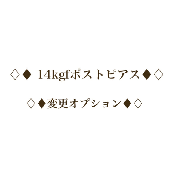 ♢♦︎ 14kgfポストピアス変更オプション♦︎♢ 1枚目の画像