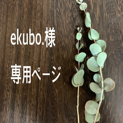 ekubo.様　専用ページ 1枚目の画像