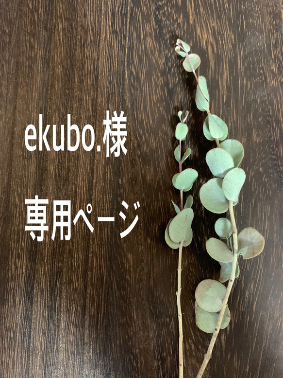 ekubo.様専用ページ 1枚目の画像