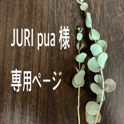 JURI pua 様　専用ページ 1枚目の画像