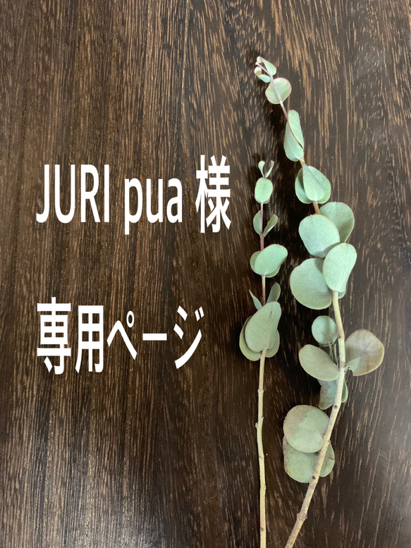 JURI pua 様　専用ページ 1枚目の画像