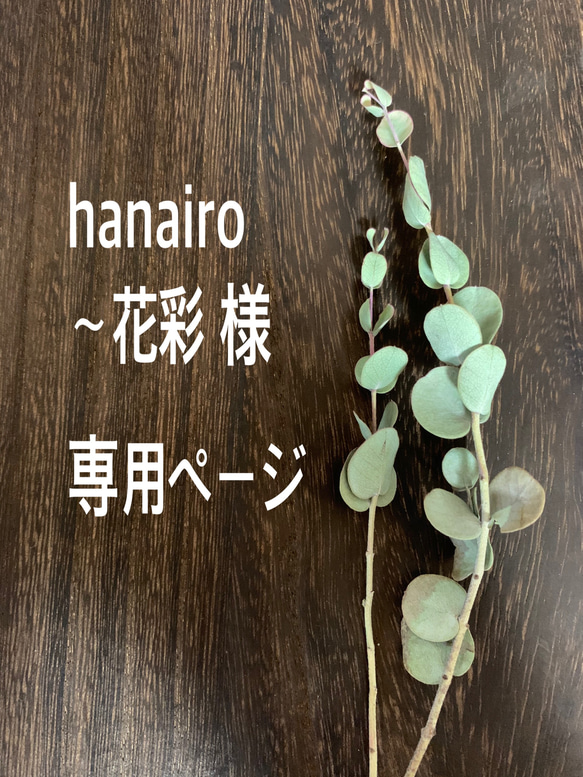 hanairo〜花彩様　専用ページ 1枚目の画像