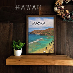 【送料無料】南国の風景☆HAWAII  No.812   フレーム付    A4サイズ 1枚目の画像