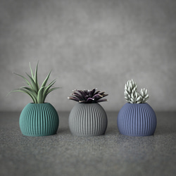 MINI PLANTER SET  / CACTUS POD S / Green , Gray , Blue 1枚目の画像