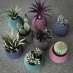 MINI PLANTER SET  / CACTUS POD S / Green , Gray , Blue 4枚目の画像