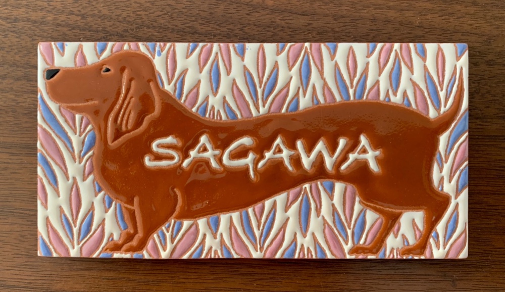 表札☆ウキ浮きバーンスター150☆