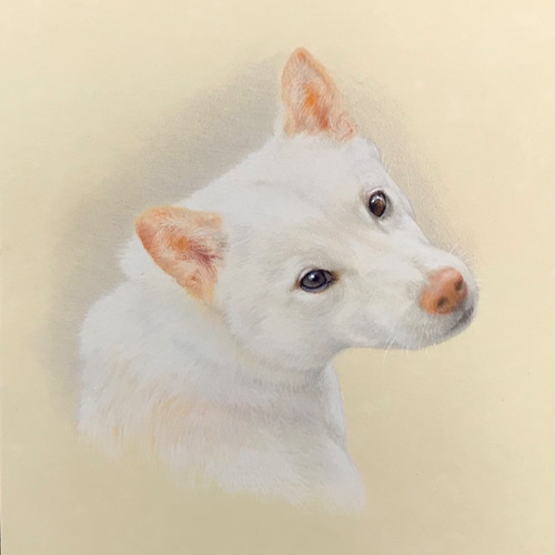 ペットの肖像画 ペット肖像画Sedamのプロフィール ｜クラフト作品 通販サイト