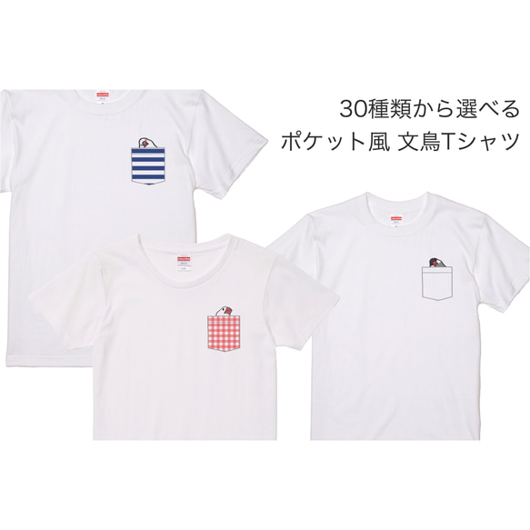 文鳥Tシャツ  「ポケットTシャツ風ハテ？文鳥」ボーダー 【受注生産】 2枚目の画像