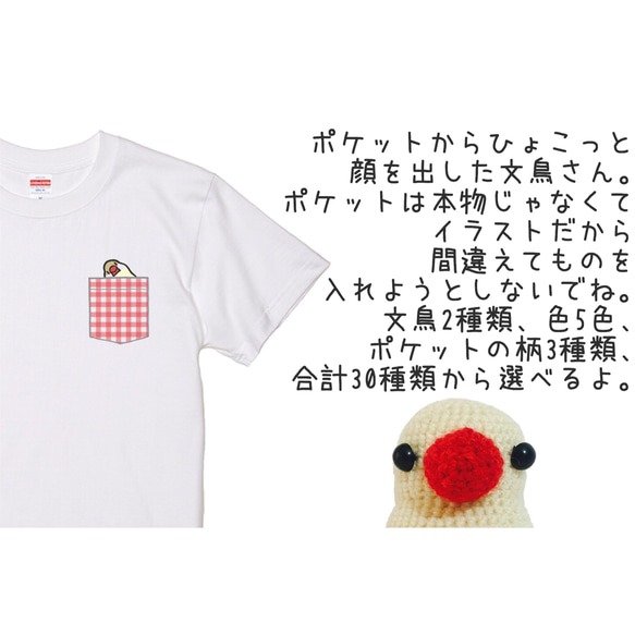 文鳥Tシャツ  「ポケットTシャツ風ハテ？文鳥」ボーダー 【受注生産】 3枚目の画像