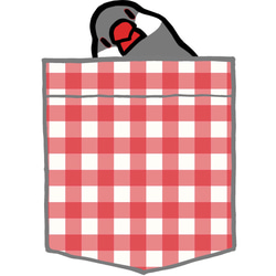 Java Sparrow Polo 衫「Pocket-style Sudden Java Sparrow」白紅格子【定做】 第4張的照片