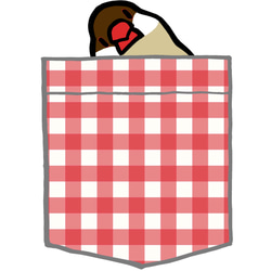 Java Sparrow Polo 衫「Pocket-style Sudden Java Sparrow」白紅格子【定做】 第5張的照片