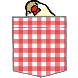 Java Sparrow Polo 衫「Pocket-style Sudden Java Sparrow」白紅格子【定做】 第6張的照片