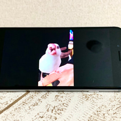 文鳥スマホリング おもち文鳥 8枚目の画像