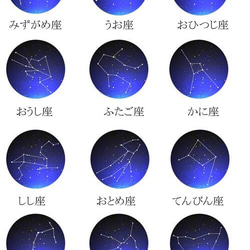 12星座の絵 ネクタイピン 2枚目の画像