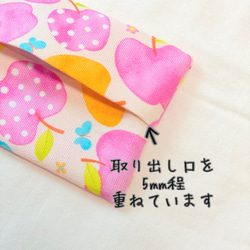 お得な3枚セット【男女MIX☆】選べる子供用ミニポケットティッシュケース 8枚目の画像