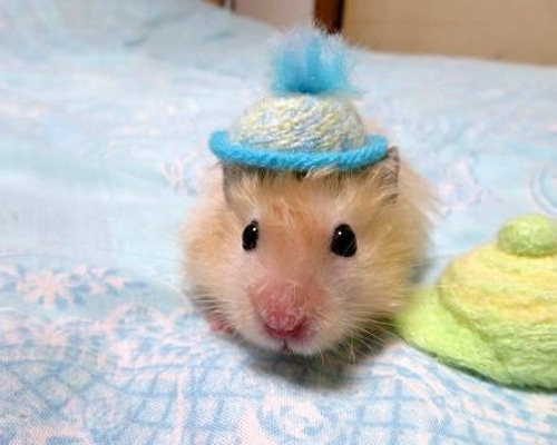 0_bc62062fce0768de22208b93295e