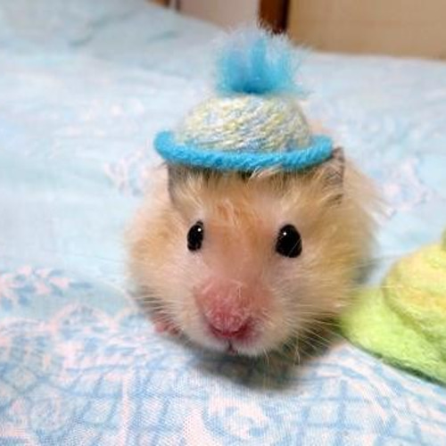 ﾊﾑｽﾀｰ用帽子 レニー君 ペット服・アクセサリー SAL子 通販 5401272