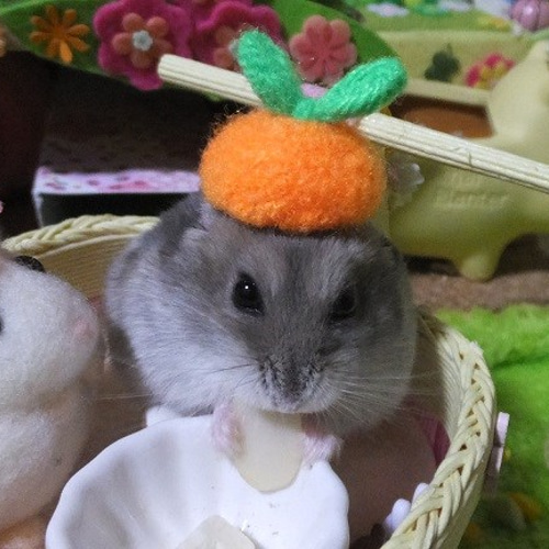 fluffy cap – BUNNY APARTMENT