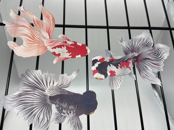 日本画オリジナルステッカー　金魚セット　Sサイズ　サイズ選択可能　UV耐水　輪郭カット済み 1枚目の画像