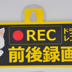 犬、猫イラスト ドライブレコーダー　UV加工　ステッカー　吸盤タイプ 1枚目の画像