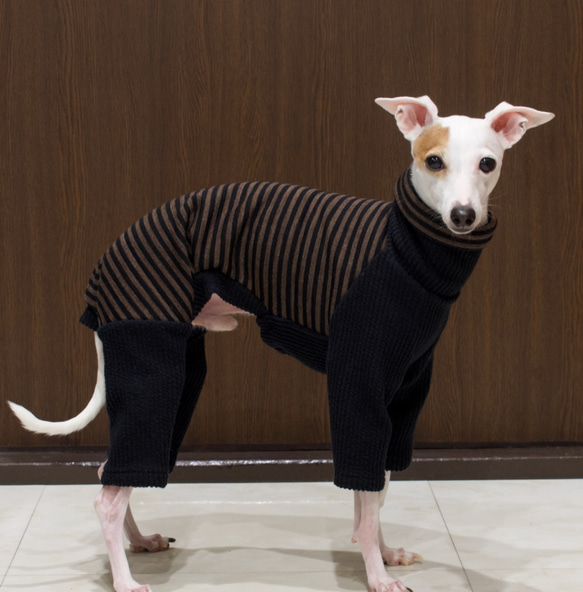 黒のボーダーロンパースイタグレ服犬服ハンドメイド