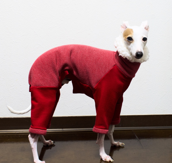 赤のロンパース② イタグレ服犬服ハンドメイド