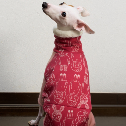 赤のロンパース② イタグレ服犬服ハンドメイド