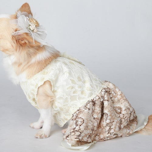 犬用お洋服 シフォンワンピ ミルキーローズ ペット服 ペット服 犬用お洋服 シフォンワンピ ミルキーローズ ペット服 ペット服