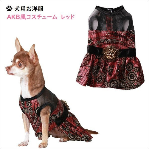 犬用お洋服 AKB風コスチューム レッド ペット服・アクセサリー
