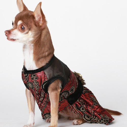 ハンドメイド　犬服　マロン② 犬用お洋服 AKB風コスチューム レッド ペット服・アクセサリー