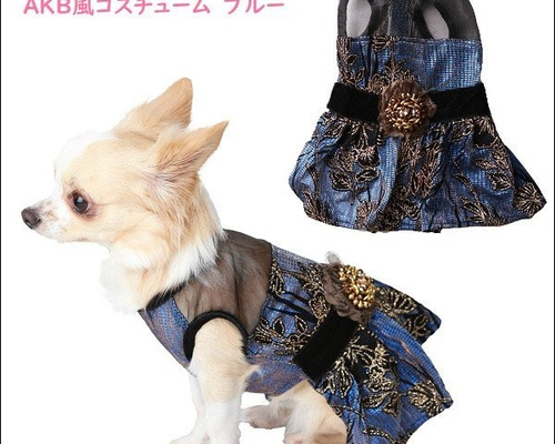 ハンドメイド　犬服　マロン 犬用お洋服 AKB風コスチューム ブルー ペット服・アクセサリー