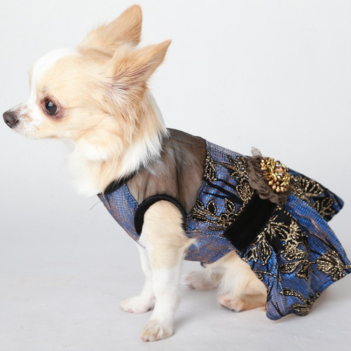 ハンドメイド　犬服　マロン 8.jpg