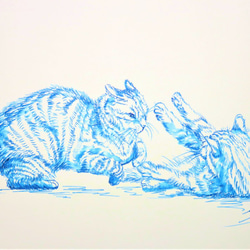 ペン画 デッサン 一点物 猫 CAT FIGHT ブルー スケッチブック182㎜×275