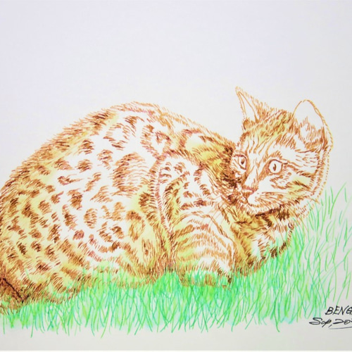 サイ　動物ペン画No.13 cf8ac941b876503a8e72370e271378